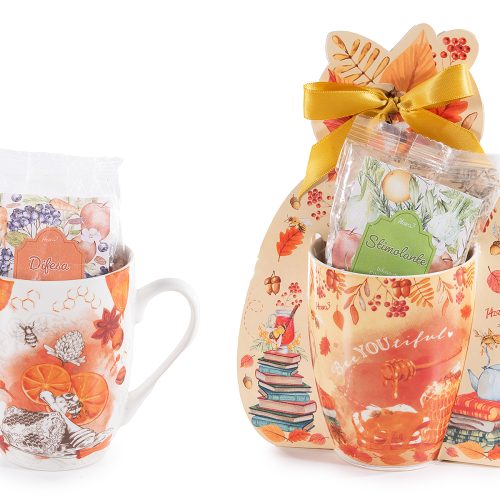 Cana portelan cu infuzie de ceai(40gr) in cutie cadou 350ml